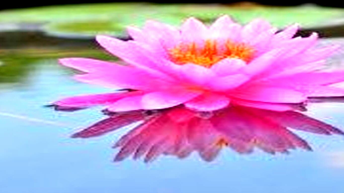 A Time to Rise Counseling and Wellness