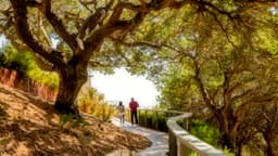 Bayside Marin - Thumbnail 5