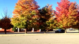 BHG Medical Services - Fayetteville - Thumbnail 2