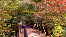 Blue Ridge Therapeutic Wilderness - Thumbnail 3