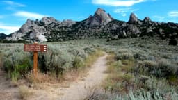 blueFire Wilderness - Thumbnail 3