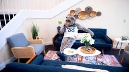 CARE Counseling Plymouth - Thumbnail 2