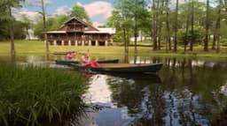 Cypress Lake Recovery - Thumbnail 3