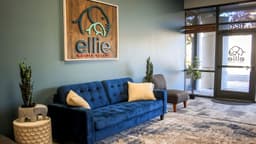 Ellie Mental Health Meridian - Thumbnail 1