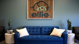 Ellie Mental Health Meridian - Thumbnail 2