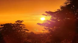 Hawaii Island Recovery - Thumbnail 5