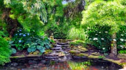 Long Island Center for Recovery - Thumbnail 3
