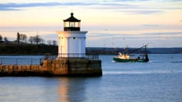 Maine Recovery Collective - Thumbnail 3