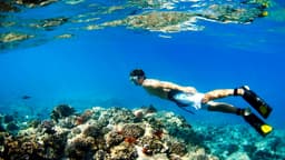 Maui Recovery - Thumbnail 2