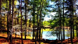 Mirror Lake Recovery Center - Thumbnail 1