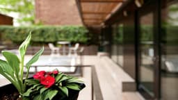 New York Center for Living - Thumbnail 3