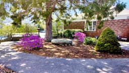 Northeast Health Services - Falmouth - Thumbnail 2