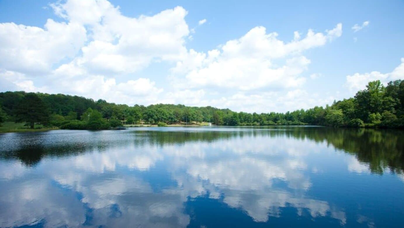 Oasis Renewal Center