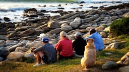 Ocean Bay Recovery - Thumbnail 4