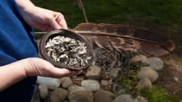 Olalla Guest Lodge - Thumbnail 4