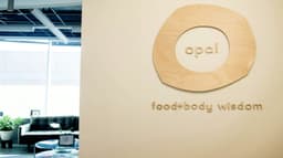 Opal: Food and Body Wisdom - Thumbnail 1