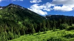 Petty Creek Mountain Ranch - Thumbnail 3