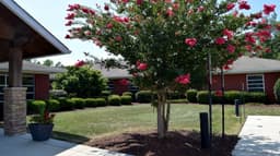 Raleigh Oaks Behavioral Health - Thumbnail 1