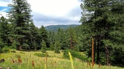 Red Rock Recovery Center - Thumbnail 2