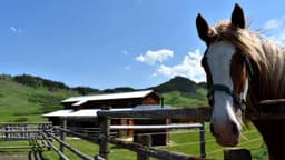 Rocky Mountain Treatment Center - Thumbnail 2