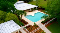 Sabal Palms Recovery - Thumbnail 5