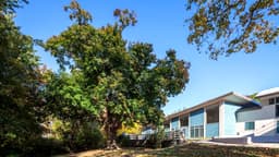 Stonington Institute - Thumbnail 1