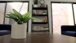 SunCloud Health Outpatient Northbrook - Thumbnail 4