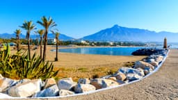 The Bridge Marbella - Thumbnail 4