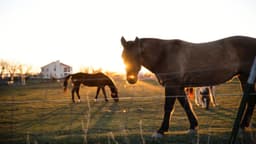 The Ranch Tennessee - Thumbnail 2