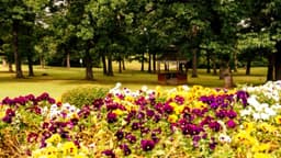 Valley Behavioral Health System - Thumbnail 2