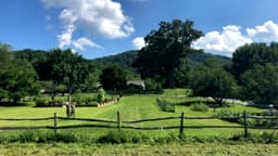 The Willows at Red Oak Recovery - Thumbnail 4
