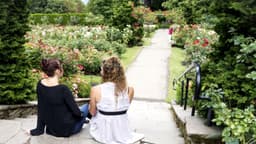 Windhorse Integrative Mental Health - Portland - Thumbnail 1