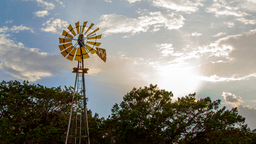 Windmill Wellness - Thumbnail 2