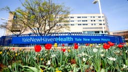 Yale New Haven Health York Street Campus - Thumbnail 1