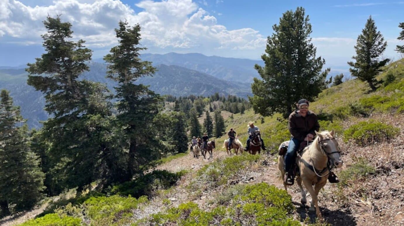 Mountain Valley Recovery