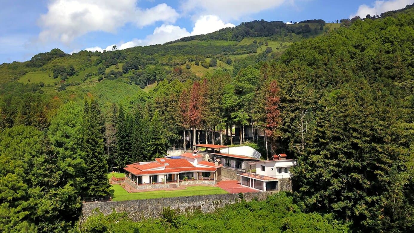 Narconon Puebla