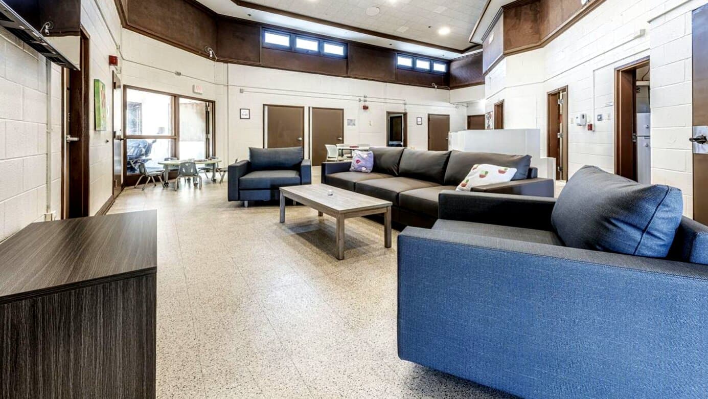The Ness Center